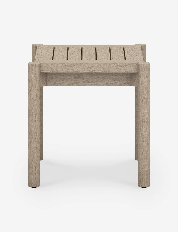 Tonia Indoor / Outdoor Side Table